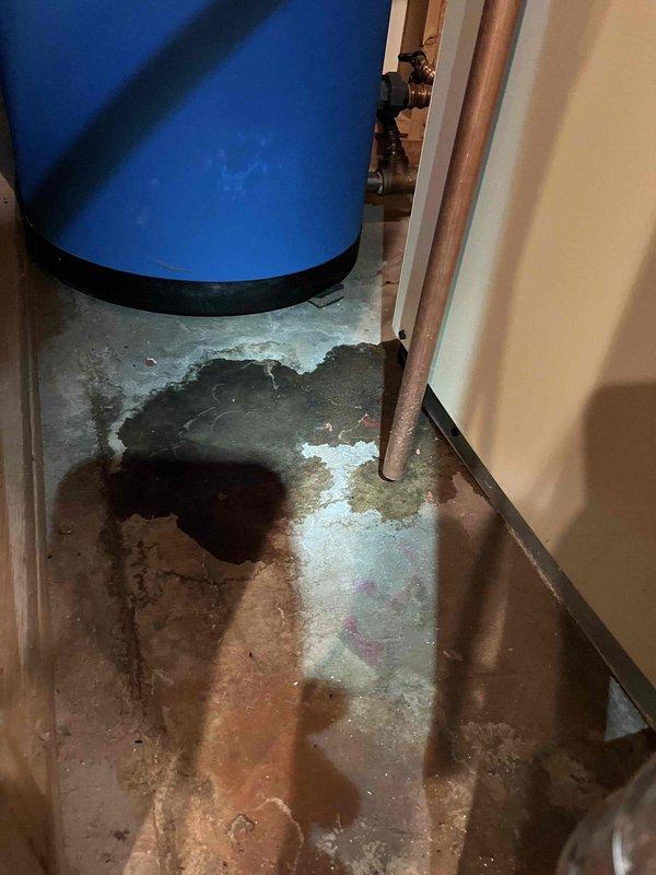 Performed annual partner plan inspection on boiler system. Identified multiple issues including weeping relief valve, igniter buildup, and non-functional master bedroom zone valve that would open but not call for heat. Documented water damage below relief valve and offered on-site replacement for the master bedroom zone valve component.