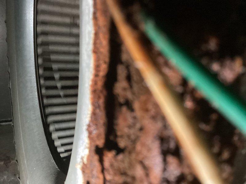 Responded to no heat complaint for LP furnace estimated to be 18-20 years old. Upon inspection, found significant corrosion on control board connections and heat exchanger showing advanced deterioration with rust damage. System is beyond economical repair due to age and critical component failure; replacement recommended.