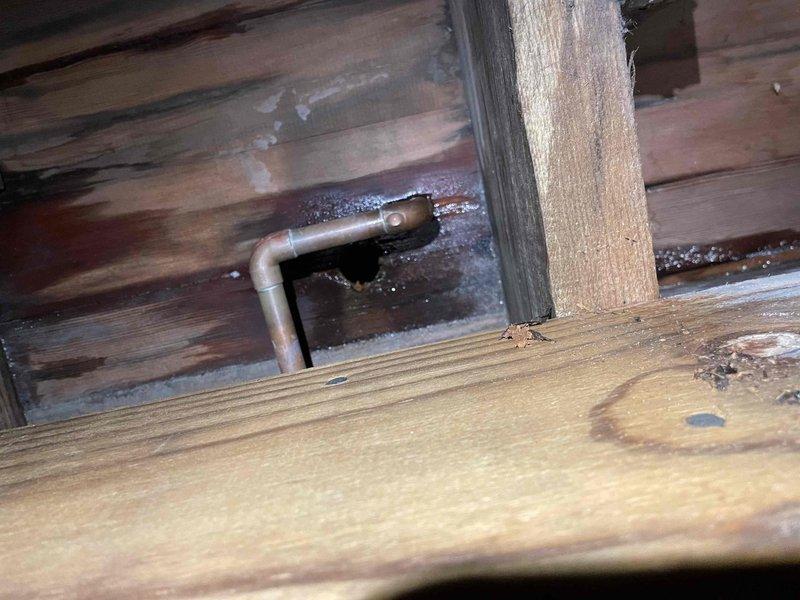 Responded to no heat call for 13-year-old boiler system. Discovered frozen zone pipe for main level with evidence of water damage to surrounding wooden structure. Inspected basement area showing moisture issues, with standing water visible on concrete floor. Waiting for system to thaw before proceeding with final repair.
