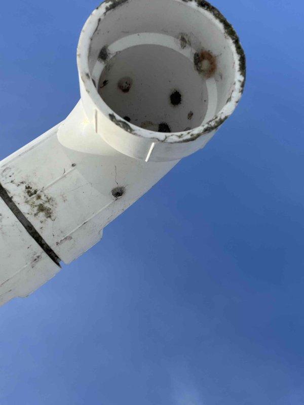 Responded to no-heat call for 1.5-year-old furnace showing error code E223 (pressure switch stuck open). Diagnosed restriction in exhaust vent, which was frozen shut due to snow accumulation around PVC exhaust termination. Cleared ice blockage from vent pipe, allowing proper venting and resolving the pressure switch fault. System now operating normally.