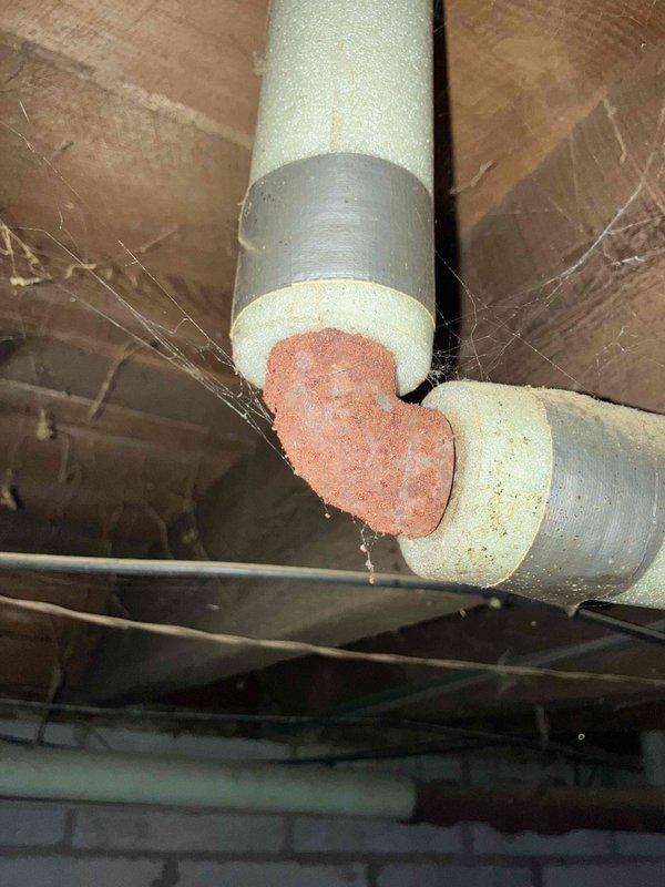 Responded to service call regarding water leakage from boiler exhaust. Diagnosis revealed failed Amtrol Extrol expansion tank causing water leakage. Replaced defective expansion tank and additional compromised components to restore proper system operation and prevent further leakage.