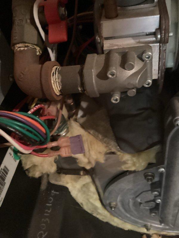 Responded to no heat call for 10+ year old system. Diagnosed faulty sensor as cause of heating failure after inspecting internal components and checking system pressure. New sensor has been ordered to restore proper heating functionality.