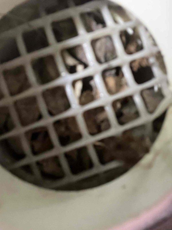 Responded to no heat complaint for a 12-year-old furnace where home temperature had dropped to 62°F. Diagnosed multiple issues: fresh air intake obstructed with leaf debris, flame sensor with dead spots, and inducer motor drawing excessive current. Performed immediate repairs including clearing intake obstruction and cleaning flame sensor, which restored heat function. Customer approved estimate for replacement of flame sensor and inducer motor.