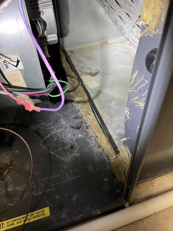 Performed Partner Plan annual heat inspection on furnace and identified multiple issues including bad flame sensor, aged igniter, corroded burners, high current inducer with noise during ramp down, and excessive blower vibration. Replaced flame sensor and scheduled comfort advisor consultation for additional repairs needed due to component deterioration and significant dust/debris accumulation observed throughout system.