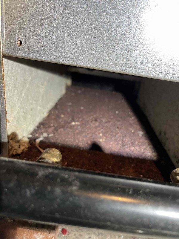Performed annual inspection on boiler system, identifying ruptured bladder in expansion tank and age-related wear on multiple components. Documented condition with photographs showing plumbing installation details and interior compartment deterioration, then provided customer with repair options via email.