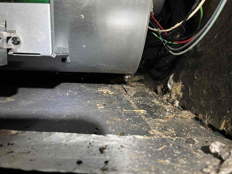 Completed annual furnace inspection and tune-up. Found humidifier pad heavily loaded with sediment buildup, flame sensor showing high resistance points, and blower motor drawing maximum rated amperage. Discovered significant dust and debris accumulation throughout air handler cabinet and blower assembly. Replaced humidifier pad per customer approval and documented equipment conditions with photos for customer records.