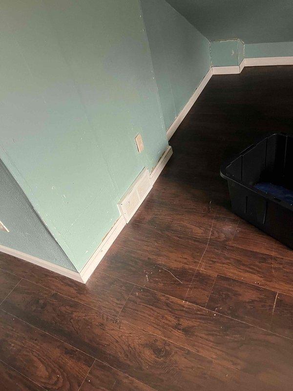 Conducted free estimate for residential duct cleaning system. Upon inspection, discovered aging HVAC equipment and identified water leaks originating from plumbing systems in basement area, with visible moisture damage evident on concrete flooring. Documented conditions with photos and provided comprehensive estimates for duct cleaning services and necessary repairs.