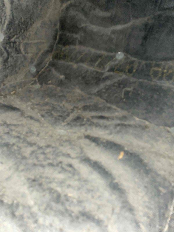 Completed annual heat inspection on 13-year-old furnace as part of prepaid maintenance plan. Inspected blower assembly and ductwork in dusty conditions, documented equipment condition with photos. Identified broken damper actuator motor requiring replacement and provided repair recommendations for necessary service work.