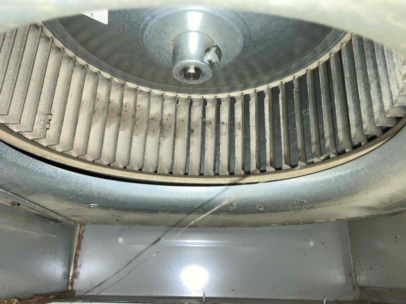 Responded to no heat call where system was blowing cool air and failing to heat the home. Upon inspection, accessed the blower assembly and found the blower wheel with significant dust and dirt accumulation on the blades, which can restrict airflow and impact system performance. Performed diagnostic evaluation of the furnace components and documented the condition of the blower assembly for necessary cleaning or further service to restore proper heating operation.