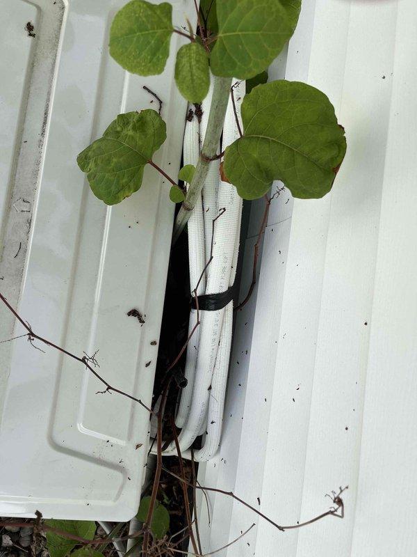 Responded to service call for two-year-old mini-split system running but not cooling properly. Performed diagnostic testing and confirmed low refrigerant levels through gauge readings, indicating a leak in the system. Documented equipment condition with photos and provided estimate for refrigerant leak repair.