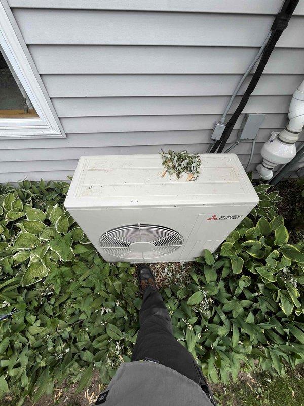 Completed annual inspection and tune-up on Mitsubishi Electric mini-split system. Noted deteriorating lineset insulation requiring replacement and observed organic debris accumulation on outdoor condenser unit. Customer will receive estimate for lineset insulation repair.