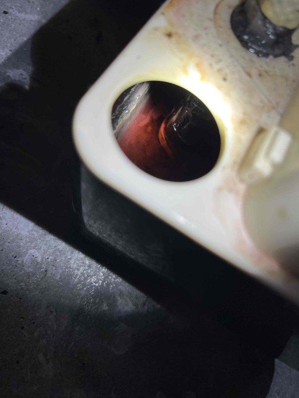Responded to service call for boiler leak on 10-11 year old unit. Upon inspection, diagnosed internal heat exchanger leak causing water to flow into condensate pump, requiring customer to repeatedly refill reservoir. Documented leak condition with photographs showing heat exchanger components and condensate pump assembly. Presented repair options including heat exchanger replacement and full system evaluation, with customer electing to schedule comfort advisor consultation for comprehensive assessment and replacement recommendations.