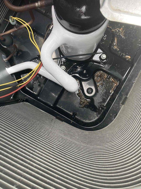 Responded to no cooling complaint with loud noise operation. Upon arrival, found evaporator coil and condenser coil completely frozen with heavy ice accumulation. System was shut down to allow complete defrosting of coils before further diagnosis could be performed. Observed significant condensation on refrigerant lines and drain pan, indicating restricted airflow or potential refrigerant issue. Documented frozen coil conditions and compressor assembly for further evaluation once defrost cycle completes.