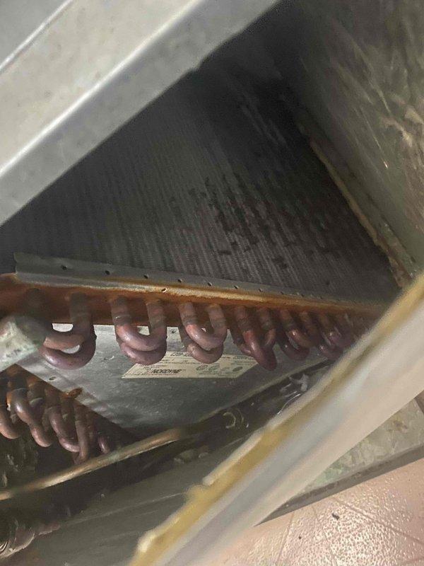 Responded to no cool call on 30-year-old air conditioning system. Upon inspection, found unit operating with low refrigerant charge and heavily soiled evaporator coil with significant corrosion on copper tubing. Documented system condition with photos showing deteriorated coil assembly, corroded refrigerant lines, and extremely dirty air filter restricting airflow. Provided estimate for necessary repairs given age and condition of equipment.