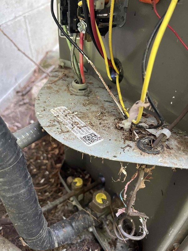 Responded to no cooling call on residential HVAC system. Upon inspection, discovered rodent damage to control voltage wiring at the outdoor condenser unit. Multiple wires had been chewed through, interrupting the low-voltage circuit and preventing system operation. Removed damaged wiring sections and installed new control voltage wiring through the condenser cabinet entry point. Secured wiring properly through grommet to prevent future exposure. Noted significant rust and corrosion on condenser cabinet panels and base platform, indicating prolonged moisture exposure. Observed accumulated debris and organic material throughout the unit base requiring attention. After completing wiring repairs, energized system and verified proper operation of all components. Tested cooling cycle through complete run sequence. System restored to normal operation with adequate cooling performance confirmed.