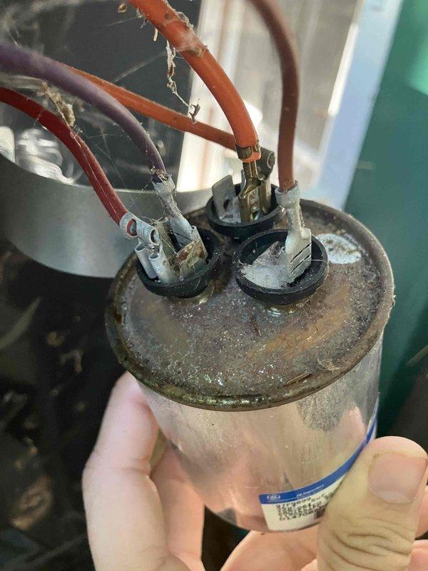 Responded to no cooling complaint on 11-year-old American Standard air conditioning system. Upon arrival, confirmed compressor was not engaging and unit was producing no cool air. Diagnostic testing revealed a failed dual run capacitor preventing compressor operation. Additionally, discovered system was completely void of refrigerant charge. Replaced the defective capacitor with new component and performed thorough leak check of the refrigeration system to identify source of refrigerant loss before recharging. System restored to operational status.