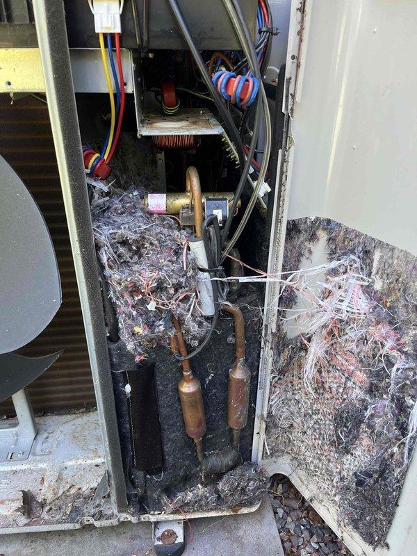 Responded to no cooling complaint on mini split system displaying error code. Upon inspection, discovered extensive rodent nesting material throughout condenser unit causing condenser fan failure. Documented damage with photos showing nest debris accumulated around electrical components, copper lines, and mechanical assemblies. Provided repair estimates and recommended comfort advisor consultation for system evaluation and replacement options.