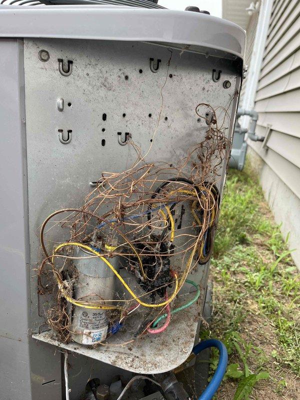 Responded to no cooling complaint on 11-year-old Tempstar air conditioning system. Upon arrival, confirmed compressor was not operating. Diagnosed and replaced failed capacitor in condenser unit, restoring compressor operation. Performed system performance evaluation and discovered subcool reading of 4-5 degrees and declining. Measured suction and discharge pressures, both reading below manufacturer specifications. Inspected blower wheel, evaporator coil, and air filter for blockages—all clear. Low subcool and below-specification operating pressures indicate refrigerant leak in system. Capacitor replacement completed successfully. Provided customer with repair options to address refrigerant leak issue. System currently operational but requires refrigerant leak repair for proper cooling performance.