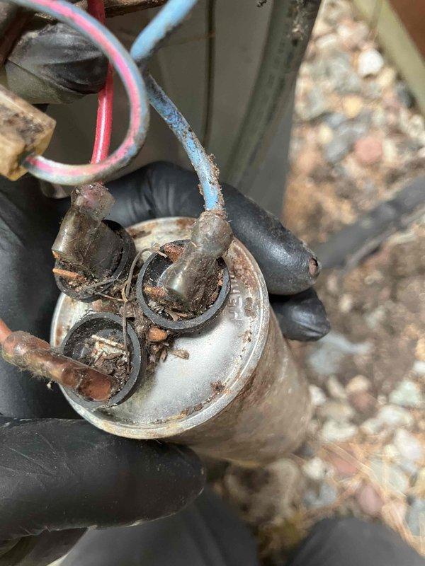 Responded to no cooling call on 20-year-old air conditioning system. Upon inspection, found unit attempting to run but failing to start due to failed capacitor exhibiting severe corrosion and deterioration on terminals and connections. Interior compartment showed extensive debris accumulation and environmental damage from long-term exposure. Replaced defective capacitor with new unit, restored proper electrical connections, and verified system operation. Unit now cooling properly.