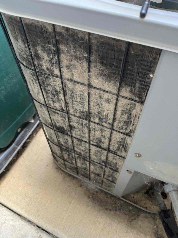 Responded to emergency no-cool call for dog kennel building. Upon inspection, found condenser unit heavily obstructed with dog hair accumulation on exterior coil, preventing proper heat rejection. Air filter was severely clogged with debris and contaminants, restricting airflow. Refrigerant charge measured low during system diagnostics. Discussed repair options with property owner, who authorized condenser coil cleaning to restore proper heat transfer and airflow. Coordinated with comfort advisor to provide system replacement estimates for customer consideration due to overall system condition and efficiency concerns.