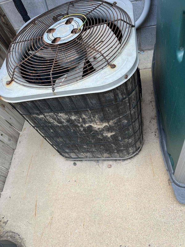 Responded to emergency no-cool call for dog kennel building. Upon inspection, found condenser unit heavily obstructed with dog hair accumulation on exterior coil, preventing proper heat rejection. Air filter was severely clogged with debris and contaminants, restricting airflow. Refrigerant charge measured low during system diagnostics. Discussed repair options with property owner, who authorized condenser coil cleaning to restore proper heat transfer and airflow. Coordinated with comfort advisor to provide system replacement estimates for customer consideration due to overall system condition and efficiency concerns.