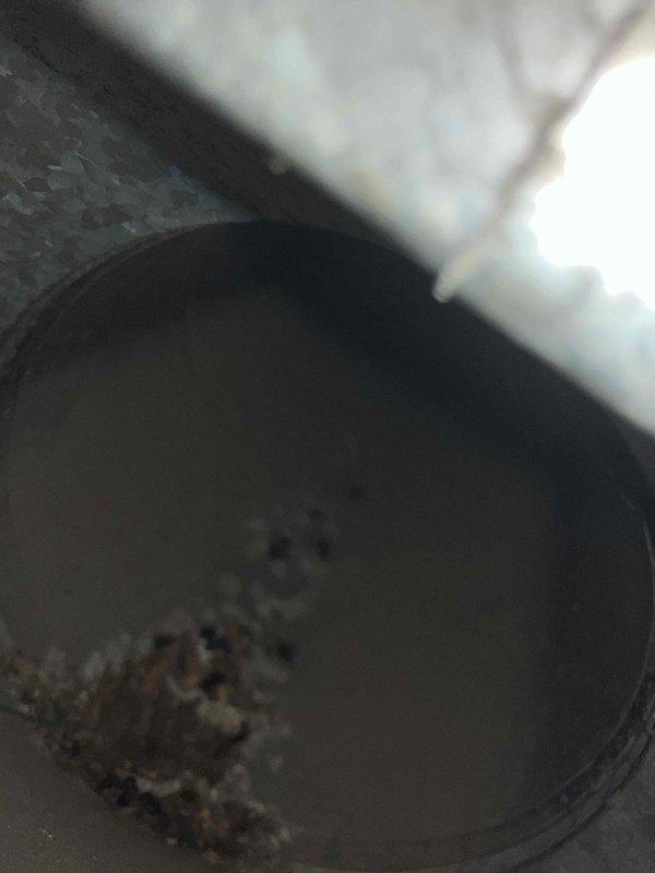 Conducted on-site assessment for residential duct cleaning services. Inspected ductwork system and documented current conditions, including visible debris accumulation within supply or return air ducts. Provided comprehensive estimate for complete duct cleaning service to customer.