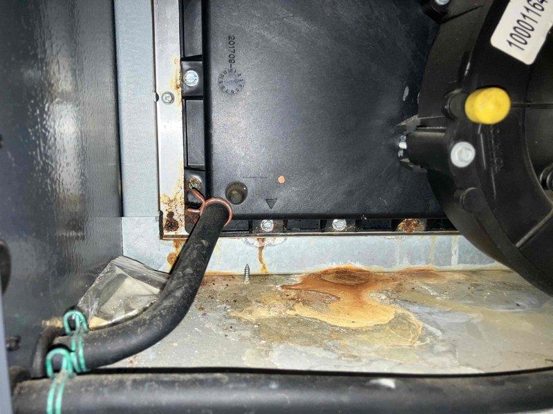 Responded to no heat and no cool condition on 16-year-old furnace and air conditioning system. Upon inspection, diagnosed failed inducer motor preventing proper system operation. Removed defective inducer motor assembly, installed replacement motor, verified all electrical connections, and tested system for proper heating and cooling function. Unit restored to normal operation with inducer motor cycling correctly and system responding to thermostat calls.