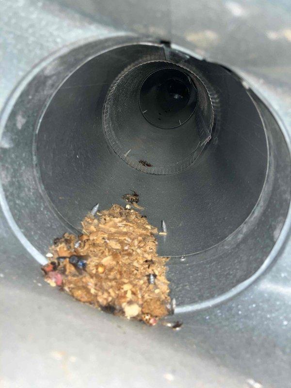 Completed comprehensive duct cleaning service for residential HVAC system. Removed accumulated dust, debris, and granular material from metal ductwork, including significant buildup observed at duct openings and interior surfaces. Addressed visible rust patches and deterioration within rectangular supply ducts and circular return air channels to restore proper airflow and improve indoor air quality.