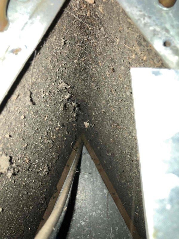 Responded to no heat call on 10+ year old furnace that was cycling on high limit switch. Replaced noisy inducer motor, removed and cleaned heavily soiled blower motor assembly, and cleaned dirty evaporator coil that was restricting airflow. Unit restored to operational status with improved airflow and proper cycling.