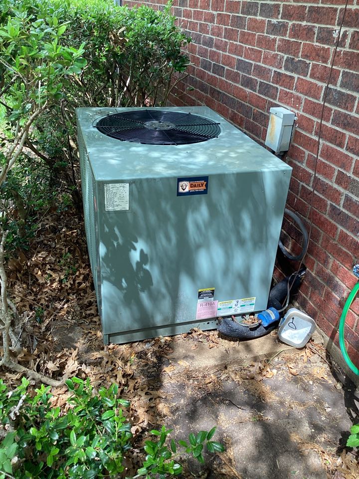 Performed spring maintenance 