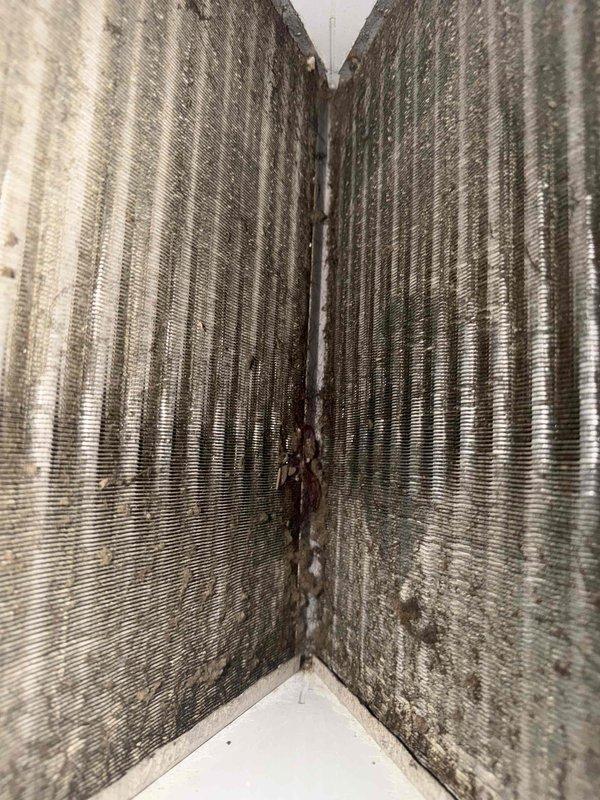 Completed third quarterly preventive maintenance inspection on HVAC system. Documented significant contamination on evaporator coil fins with dark streaking, biological growth, and microbial buildup concentrated along center seam, indicating prolonged moisture exposure and need for cleaning during next service interval. Inspected attic space and verified insulation materials stored properly among floor joists with electrical wiring routed appropriately through roof structure.