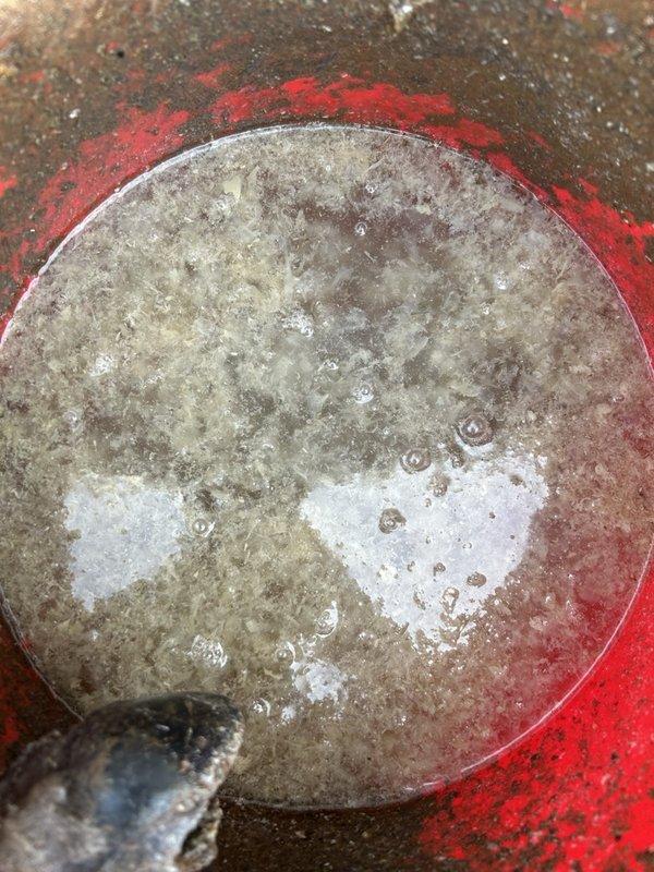 Fort Myers, FL - Responded to no cooling complaint with red indicator light on outdoor unit. Upon inspection, found Durastar system requiring attention. Performed diagnostic assessment of condensate drainage system, which showed significant buildup and blockage requiring clearing. Cleaned and serviced condensate collection components to restore proper drainage function and system operation.