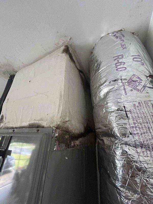 Cape Coral, FL - # Leaking Water and HVAC Inspection

Responded to service call regarding water leakage down wall and pest intrusion near air conditioning system. Upon arrival, conducted thorough inspection of HVAC air handler unit mounted in interior ceiling space. Investigation revealed significant water damage and staining on ceiling material surrounding the unit, with extensive brownish-gray discoloration and deterioration visible in upper corner areas. Identified dark mold and mildew growth along bottom seams of air handler casing where unit interfaces with ceiling, indicating ongoing moisture intrusion and condensation problems.

Documented multiple moisture-related issues including biological growth patterns, ceiling material degradation, and water staining throughout the installation area. Observed dirt accumulation and discoloration on equipment housing and adjacent wall surfaces. Flexible ductwork connection and electrical conduit routing were inspected for proper installation and potential l