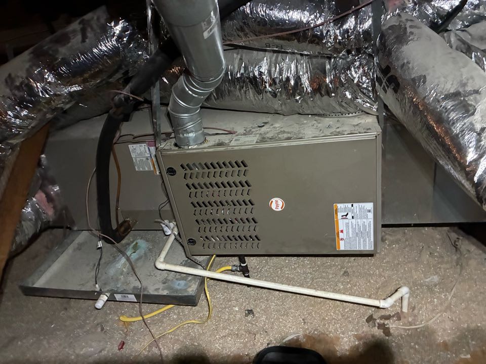 Came to do a one system heating maintenance on Payne furnace