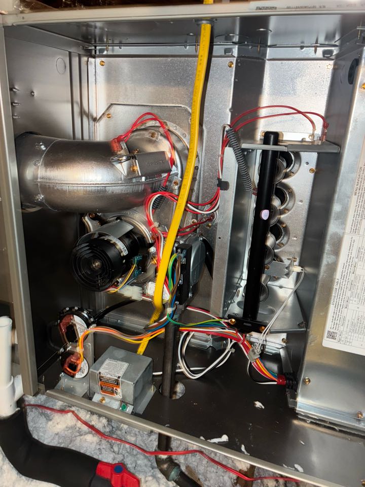 Came to do a 1 system carrier furnace maintenance 