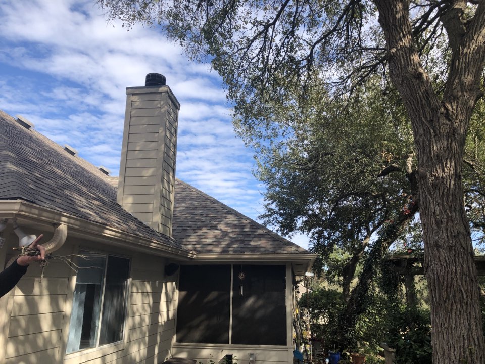 Action tree service lifting tree over roof keeping branches from rubbing 