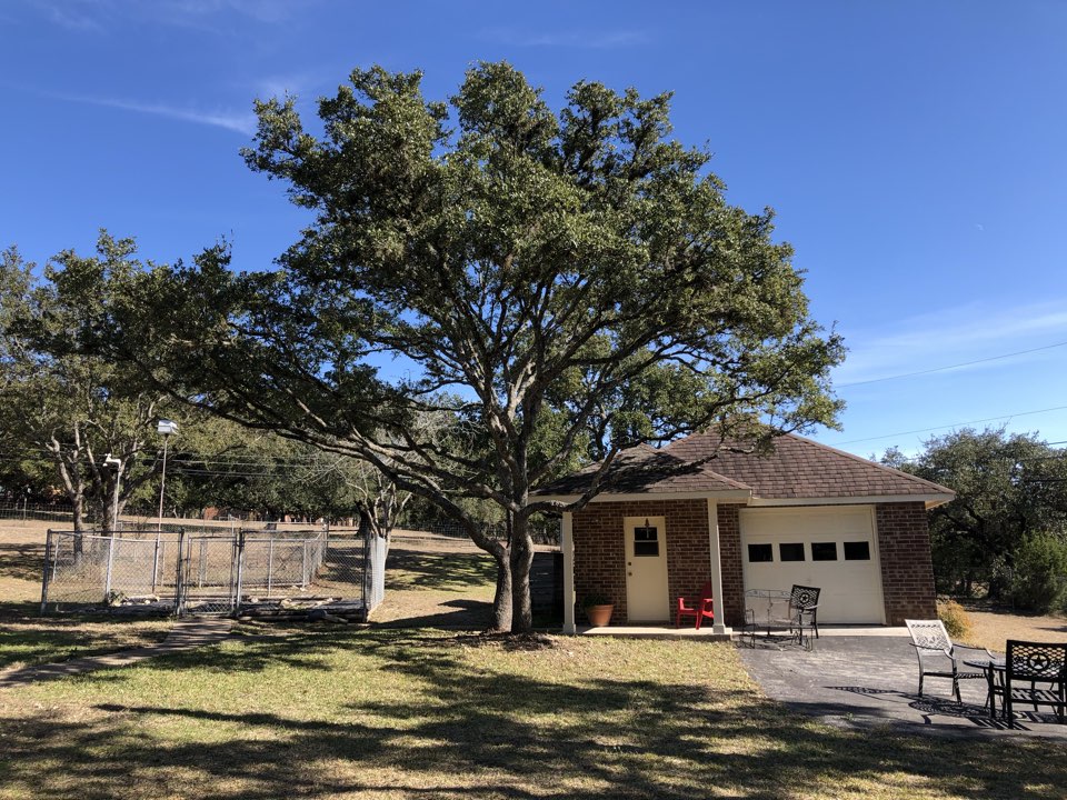 Trimming & canopy lift of oaks in Fair Oaks.