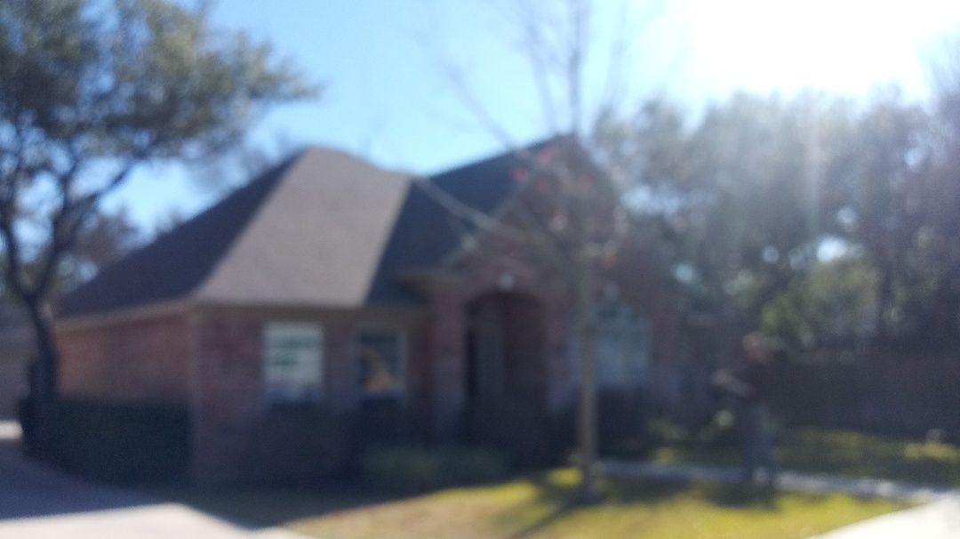 Action Tree Service Oak trimming, elm trimming crepe myrtle trimming, roof clearance in Huebner  @ 1604.