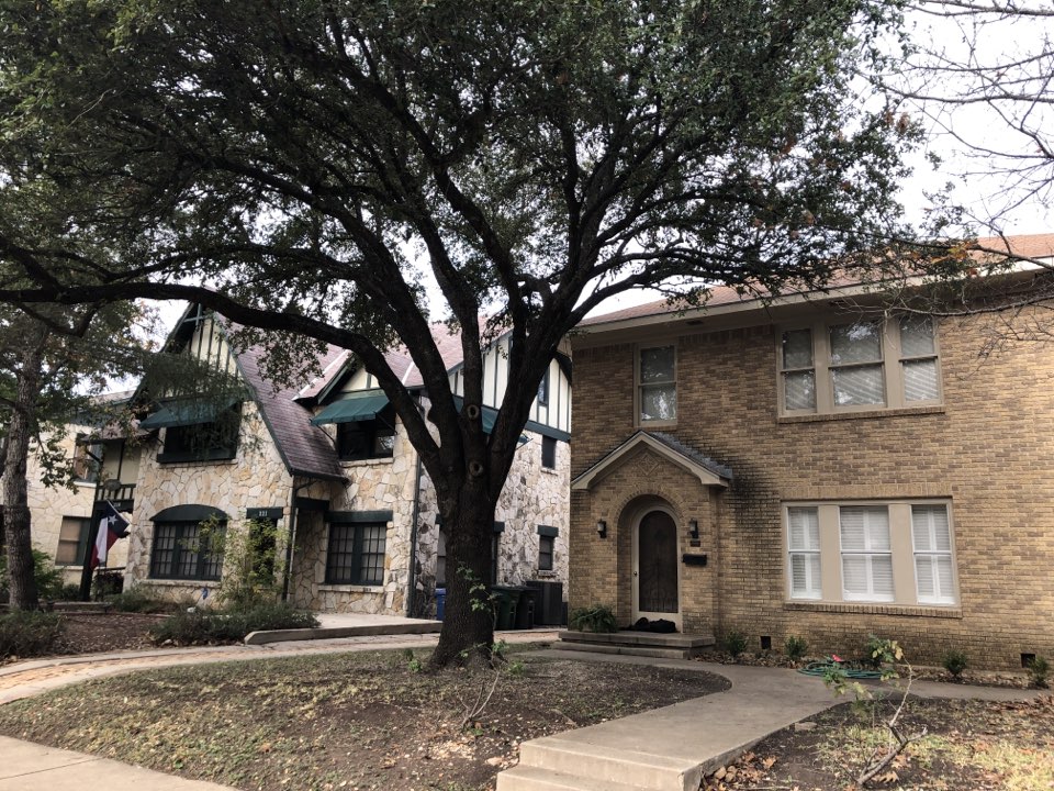 Lifting Oak Canopy and trimming in Alamo Heights, Tx