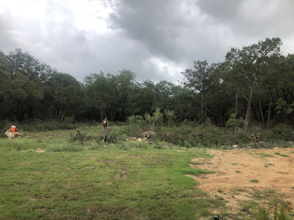 San Antonio tree company trimming and cutting down trees to make for a good view in new braunfels tx