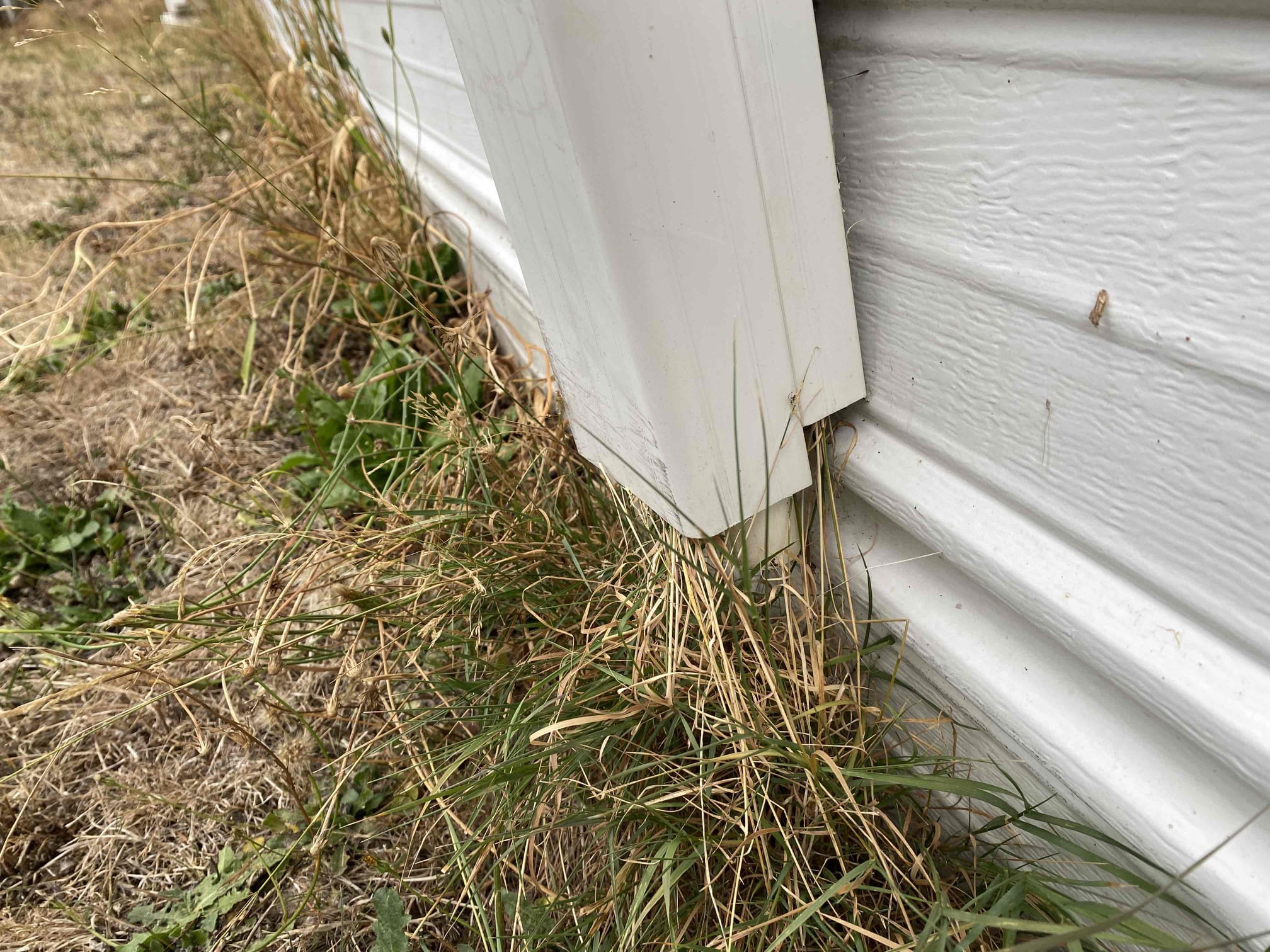 Ductless Heat Pump Maintenance