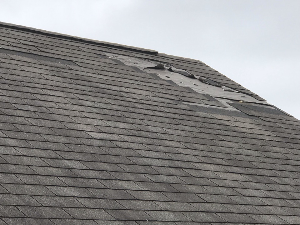 Bennington, NE - Helping homeowners w/ FREE 🏠 INSPECTIONS #dynastyrestoration #blownoffshingles Bennington, NE - Helping homeowners w/ FREE 🏠 INSPECTIONS #dynastyrestoration #blownoffshingles