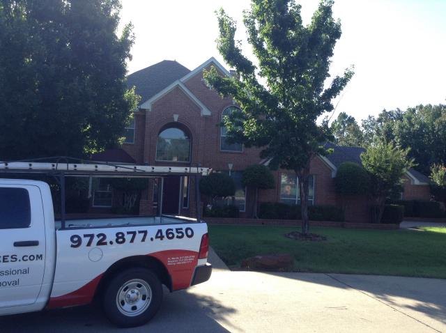 Performing an inspection and chimney sweep on a wood burning fireplace with a gas starter