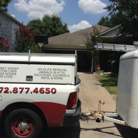 On a service call,checking to make sure there are no live animals in the house.