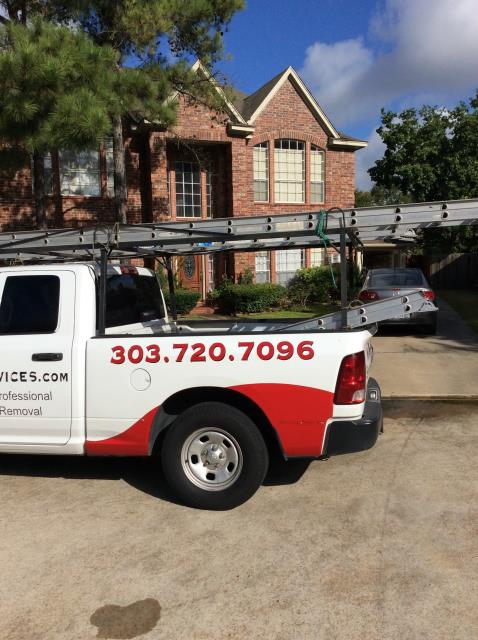 Giving the customer an estimate for the removal of squirrels from the attic.