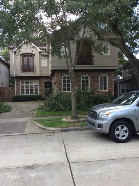 Here to animal proof the home by sealing all entry points.