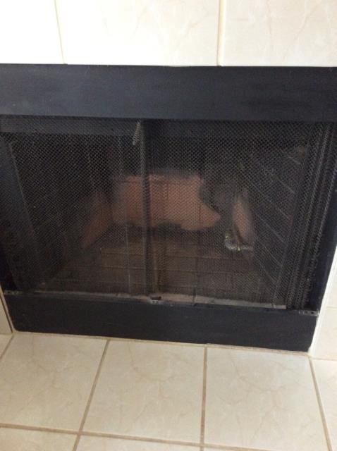 Here to give an estimate for the removal of birds in the chimney.