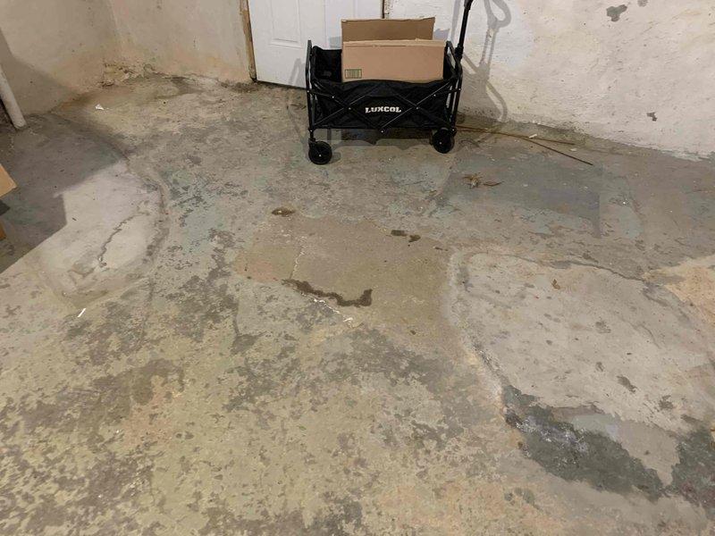 Performed camera inspection of drain line in basement as requested. Thoroughly examined the basement storage area and concrete flooring to identify any potential issues. No visible leaks were detected during the comprehensive inspection.