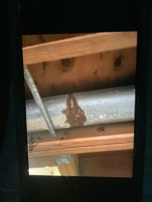 Performed scheduled heating tune-up on 12-year-old furnace located in basement. During inspection, discovered significant corrosion and a large puncture in the metal ductwork, indicating possible moisture damage and compromised system efficiency. Documented damage with photos and recommended duct repair/replacement to restore proper airflow and system performance.