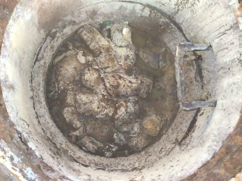 Responded to service call for backed-up restroom floor drains. Upon inspection, found main drain cleanout severely clogged with substantial debris, sediment buildup, and standing water. Successfully cleared accumulated waste material and restored proper drainage function to the commercial plumbing system.